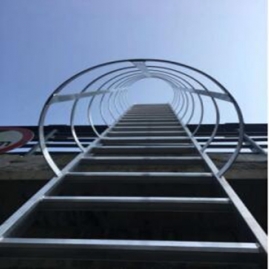 91视频免费下载大全